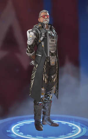 Racing Stripes Ballistic skin