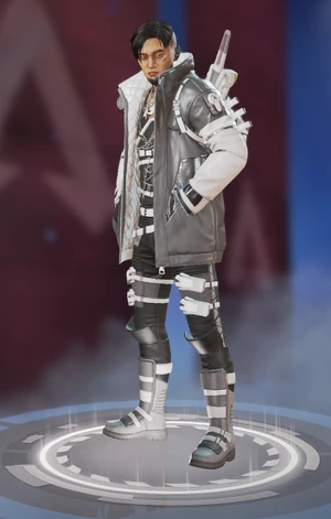 Arctic Crypto skin