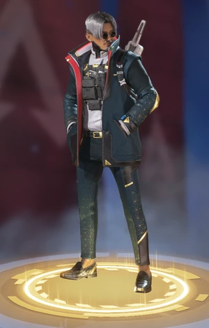 [CLASSIFIED] Crypto skin
