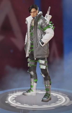 Evergreen Crypto skin